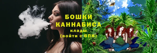 крисы Беломорск