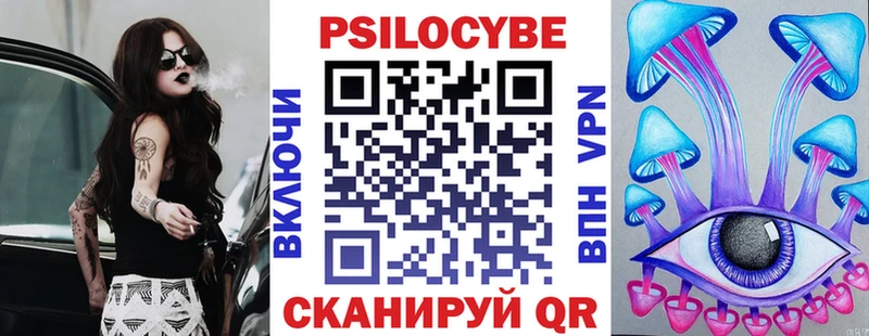 Купить Новомичуринск Псилоцибиновые грибы Psilocybe