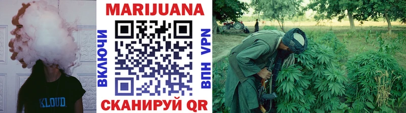 Бошки Шишки план  Купить  Новомичуринск 